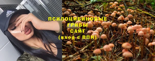 соль ск Балабаново